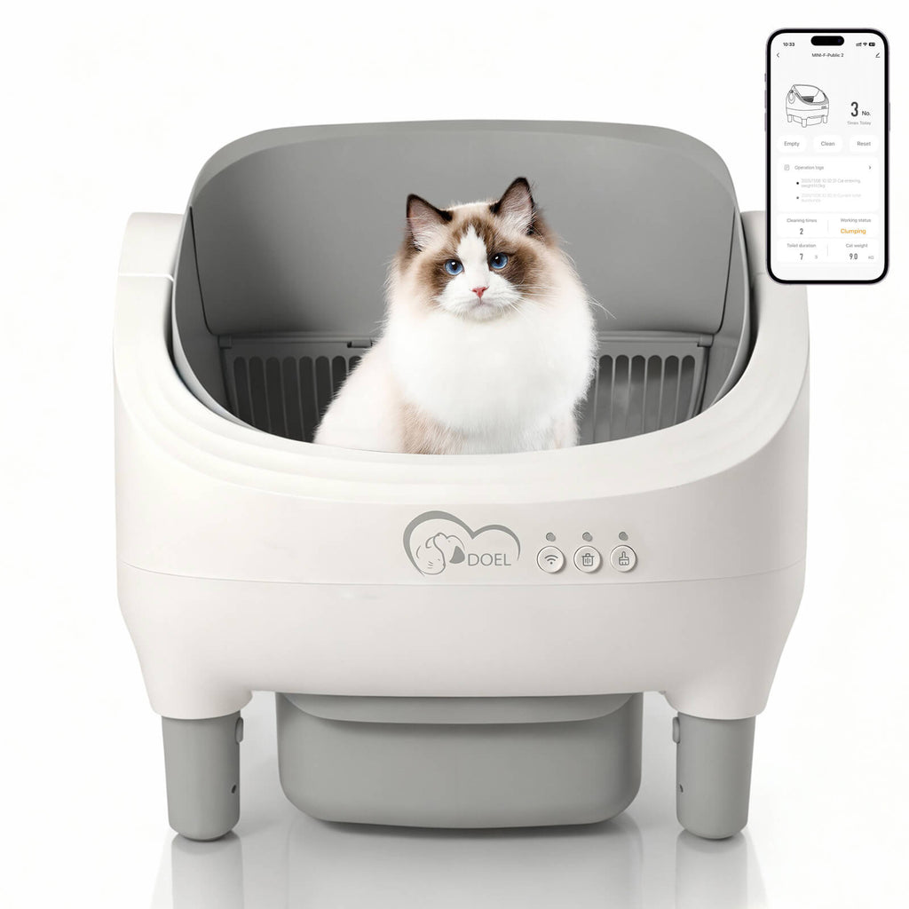Smarte App-Steuerung, offene, automatische Katzentoilette mit doppelten Sicherheitssensoren, selbstreinigend