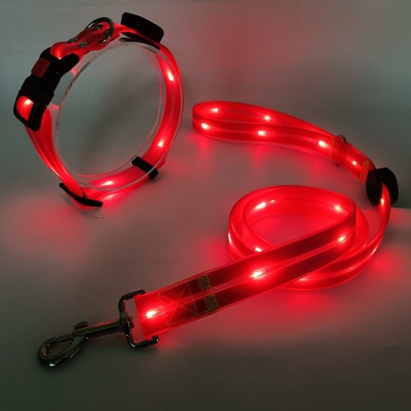 Luminous LED Pet Leash USB Charging PVC Rubber Coated Waterproof Material Collar Dog Walking LED Lead - 图片 5