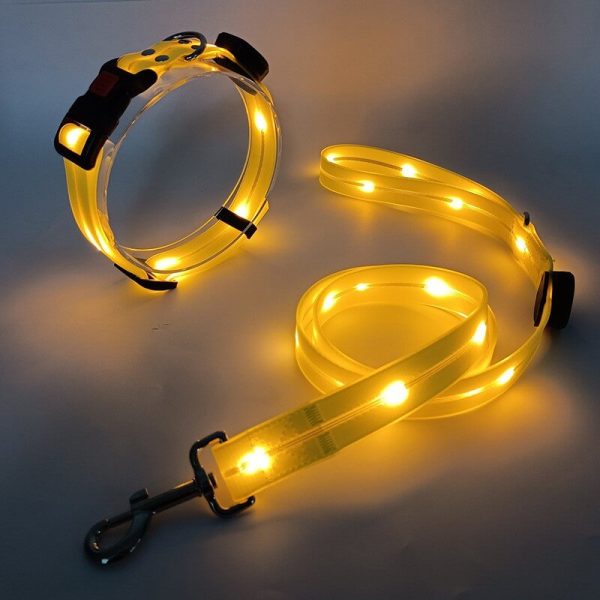 Luminous LED Pet Leash USB Charging PVC Rubber Coated Waterproof Material Collar Dog Walking LED Lead - 图片 4