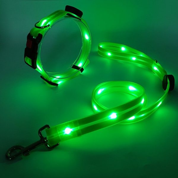 Luminous LED Pet Leash USB Charging PVC Rubber Coated Waterproof Material Collar Dog Walking LED Lead - 图片 3